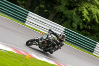 Lower Group Black Bikes